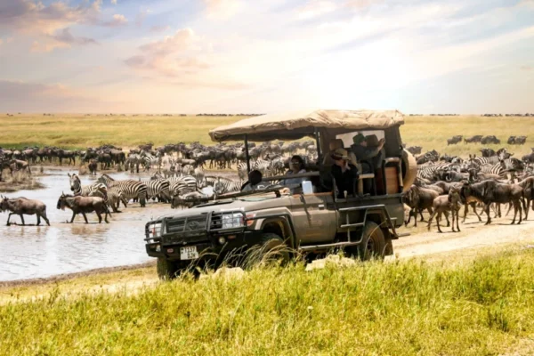 serengeti national park game drives Serengeti
