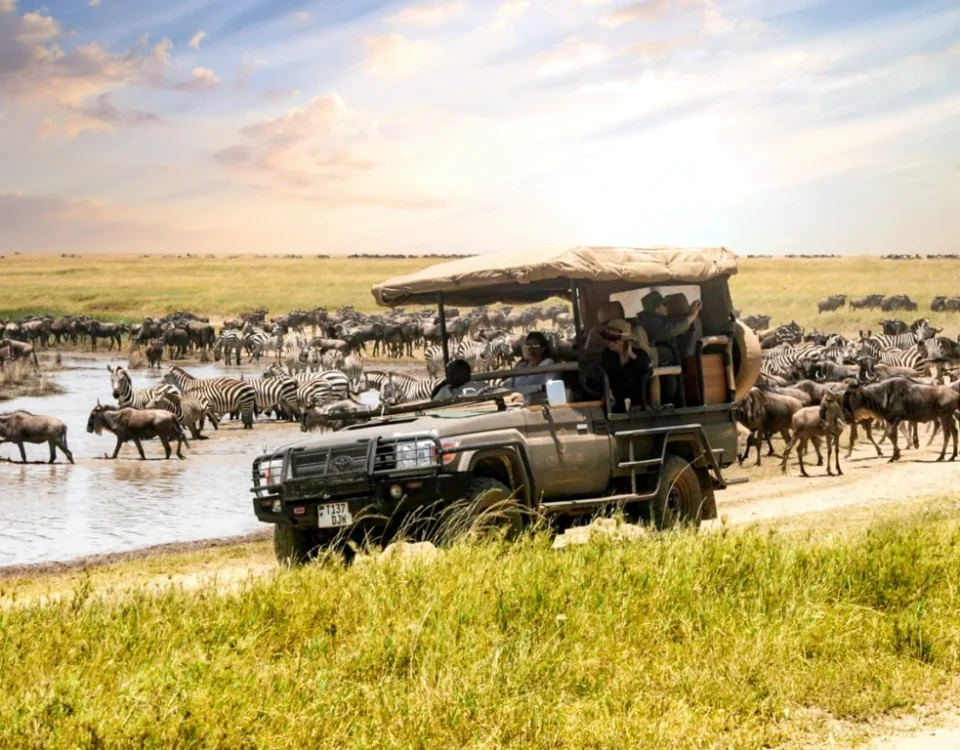 Serengeti