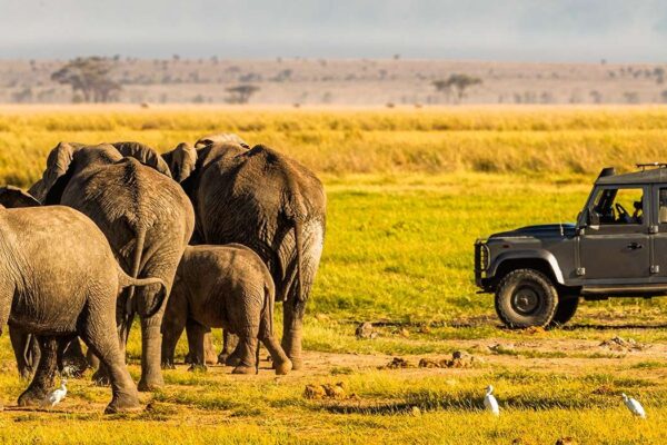 10-Day Explore Kenya's Iconic Safari Destinations 10-Day Explore Kenya's Iconic Safari Destinations