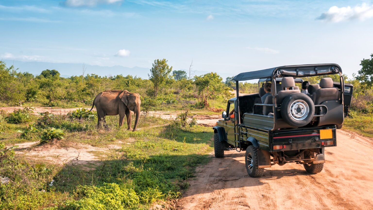 10-Day Gorongosa & Bazaruto Safari Holiday