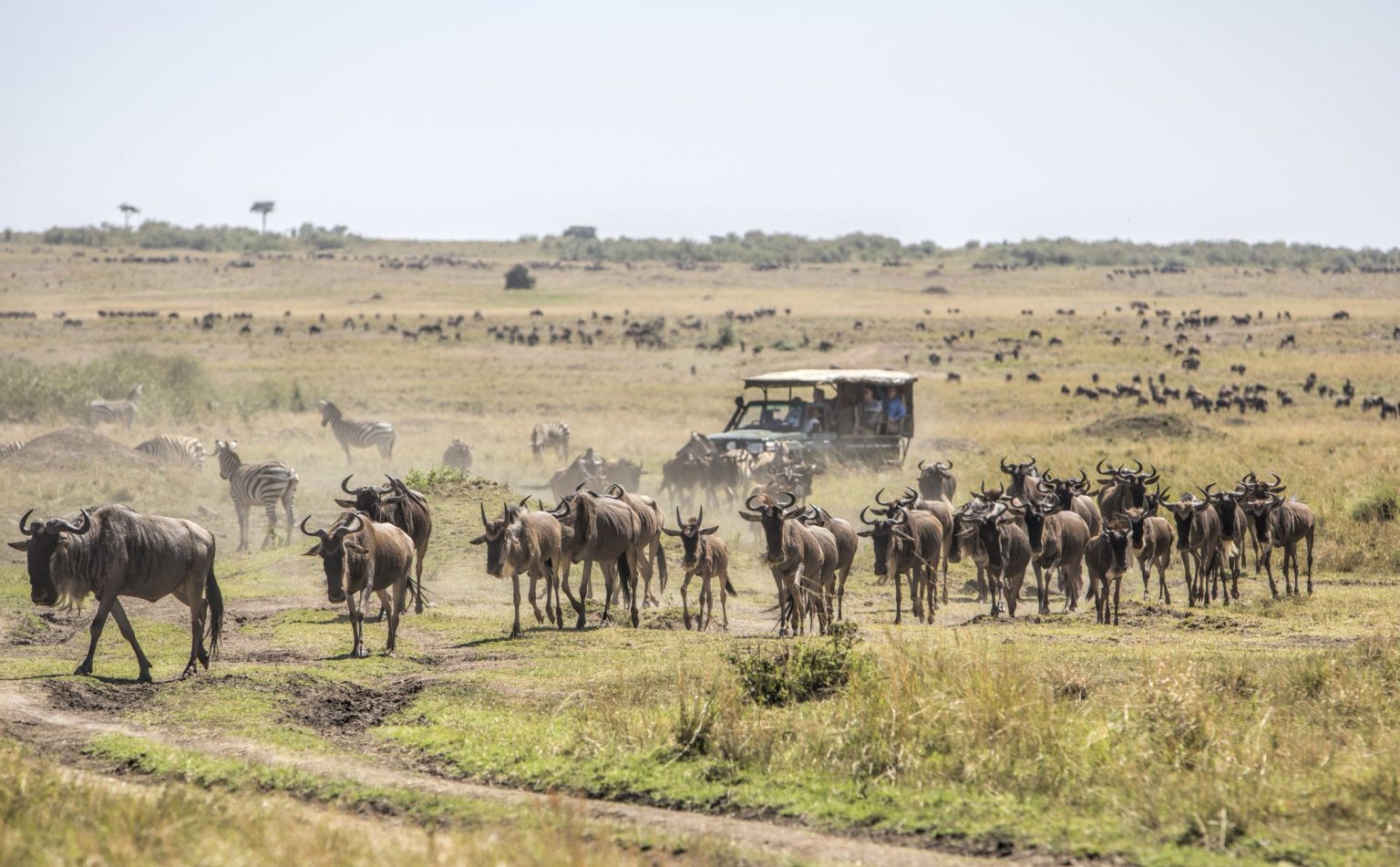10-Day Explore Kenya's Iconic Safari Destinations