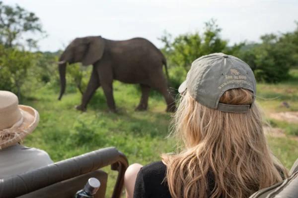 12 Days South Luangwa, Kafue & Lower Zambezi Safari 18 Days Rwanda Gorilla & Kenya Grand Wildlife Circuit