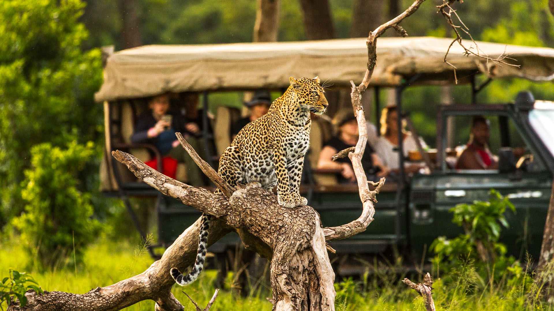 13-Day Kenya Budget Friendly Safari Holidays