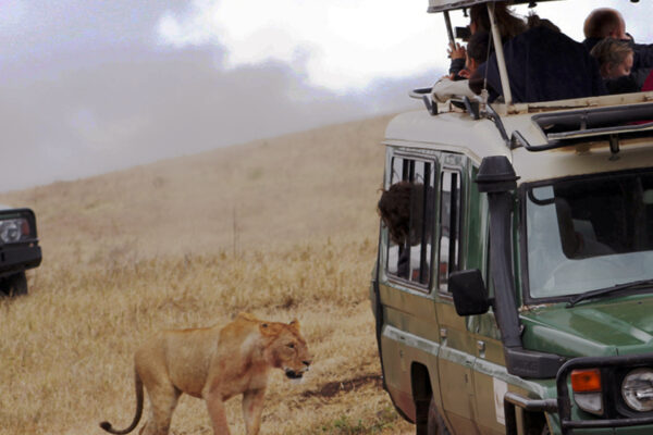 14-Day Mozambique Grand Wildlife Safari 14-Day Mozambique Grand Wildlife Safari