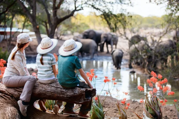 15-Day Mozambique Luxury Wilderness Safari 15-Day Mozambique Luxury Wilderness Safari