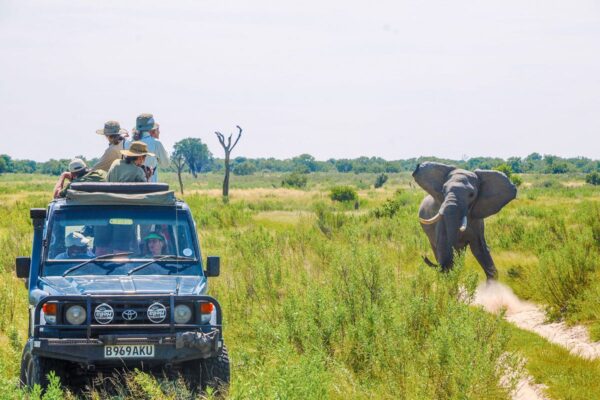 15-Day Uganda Game Drives Safari