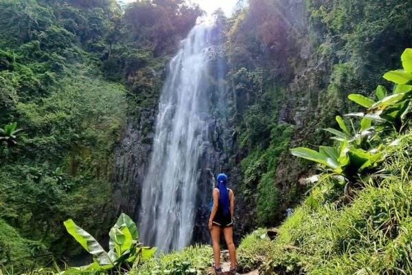 6-Day Northern Tanzania Safari, Coffee Tour & Waterfalls