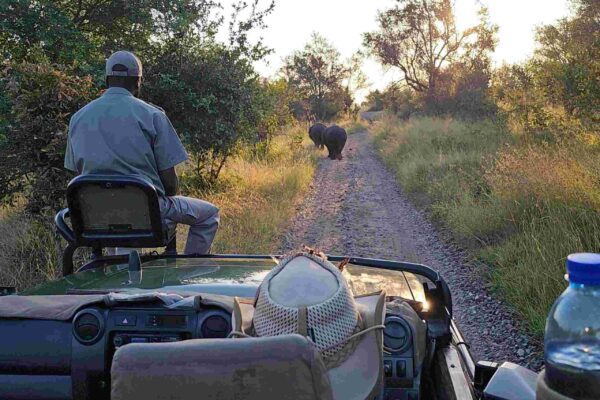 6 Days Kruger & Panorama Route Safari 6 Days Kruger & Panorama Route Safari