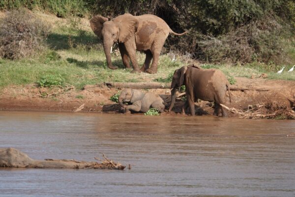 7-Day Kenya Big Five Safari Holiday 7-Day Kenya Big Five Safari Holiday