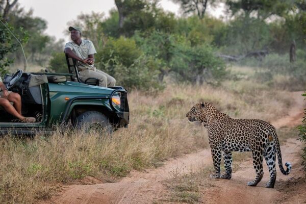 7-Day Kruger, Panorama Route & Private Game Reserve Safari 7-Day Kruger, Panorama Route & Private Game Reserve Safari