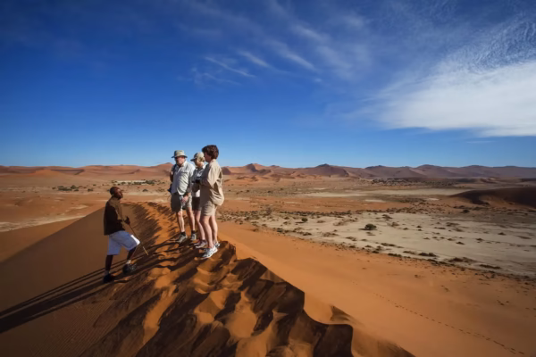 9-Day Namibia Wildlife & Desert Adventure Safari 9-Day Namibia Wildlife & Desert Adventure Safari