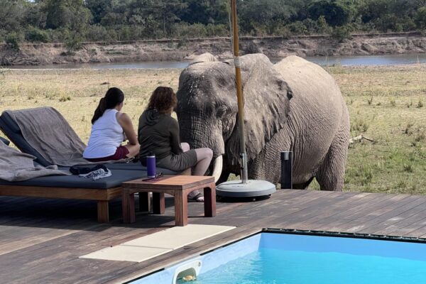 9 Days South Luangwa & Victoria Falls Safari 9 Days South Luangwa & Victoria Falls Safari