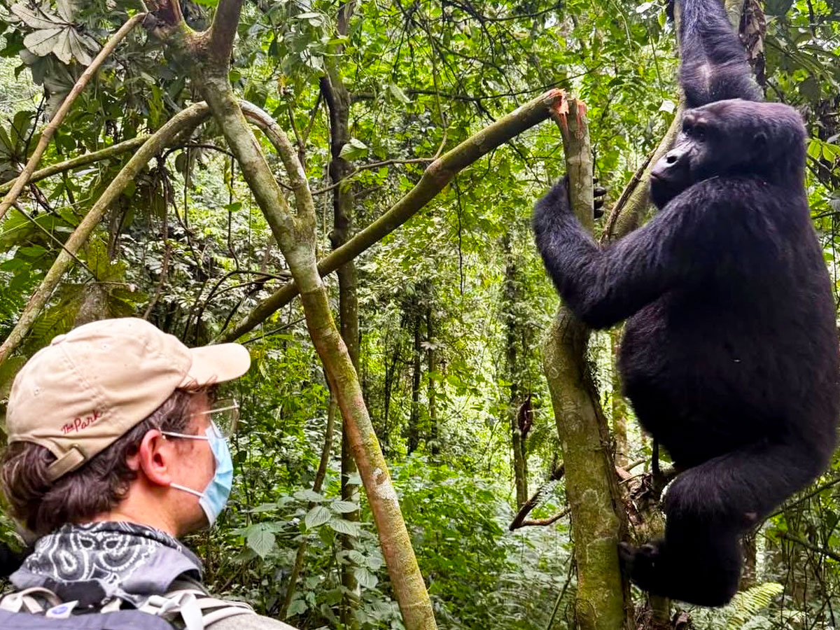 10-Day Best of Rwanda Safari Experience