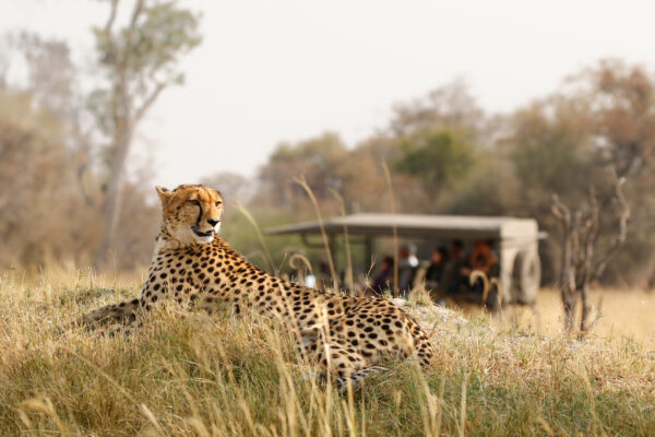 Leopard1 15 Days Ultimate Uganda & Tanzania Safari