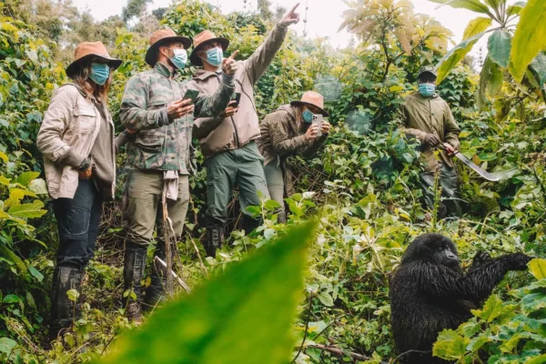 Rwanda Gorilla Safaris 7-Day Rwanda Gorilla Tour and Wildlife Safari