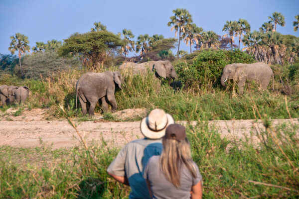 Tanzania-Walking-Safaris Tanzania-Walking-Safaris