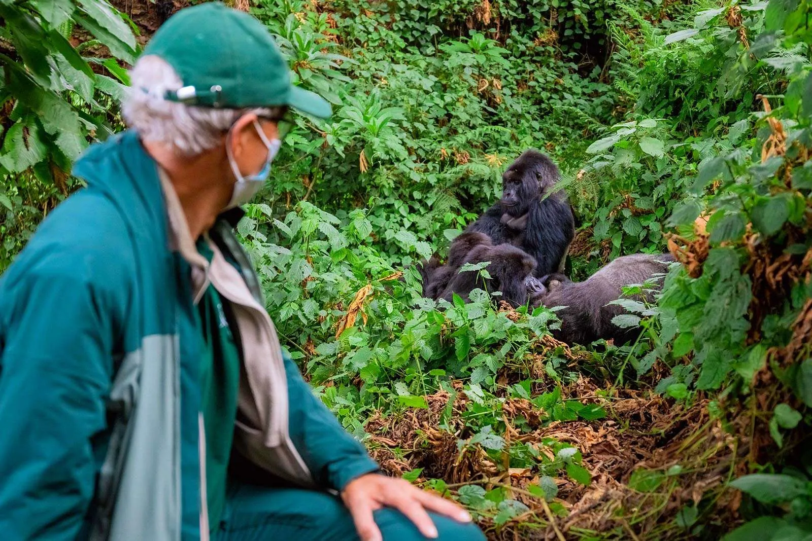 4-Day Bwindi Gorilla Trekking Safari