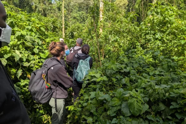 21 Days Kenya Uganda Complete Wildlife & Primates Safari