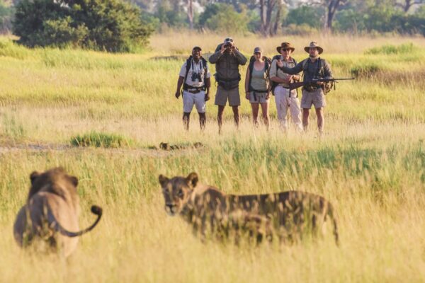 walk-Botswana-Safaris_-6-scaled 11-Day Botswana Wildlife Photography Safari