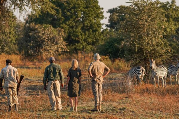 walkings Safaris1 walkings Safaris1