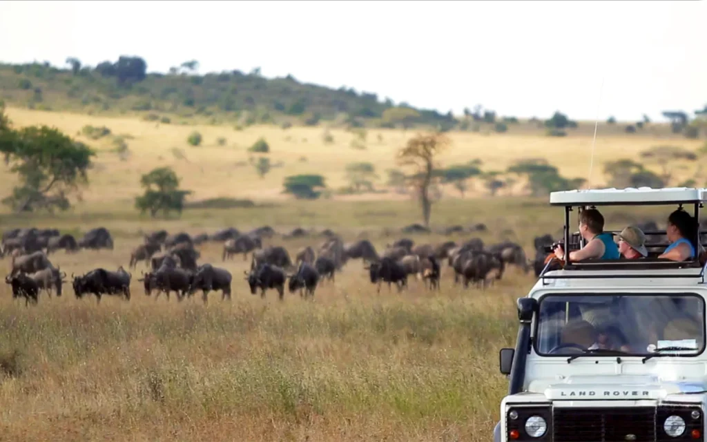 Photography Opportunities During the January Migration