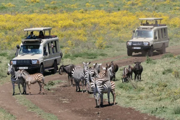 23-Day Kenya Tanzania Rwanda Complete East African Safari 23-Day Kenya Tanzania Rwanda Complete East African Safari